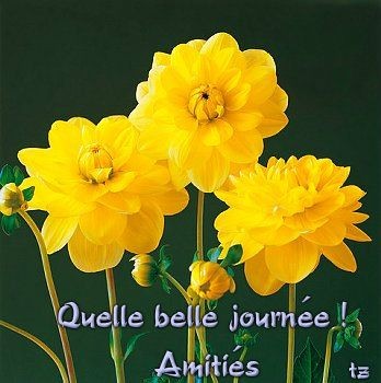 Bonjour Charles! main image 1