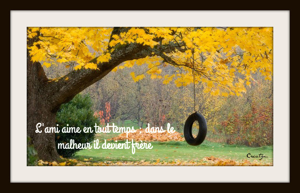 Amitie Affection Tendresse