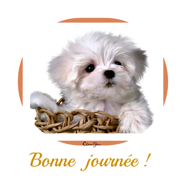 Bonne journée