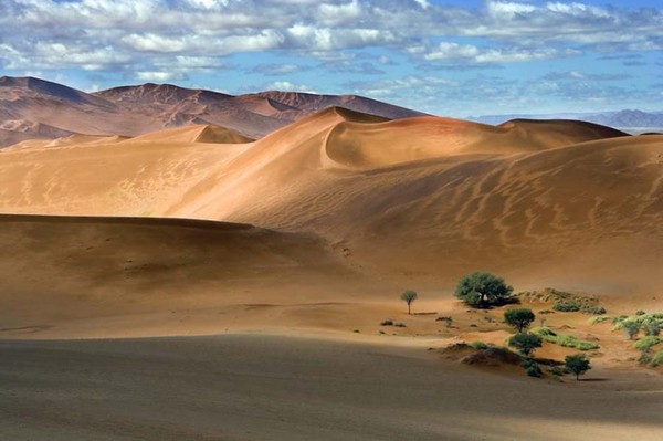 desert center chat sites News from the california desert: palm springs, indio, coachella, palm desert, indian wells, la quinta, cathedral city, rancho mirage and desert hot springs. desert center chat sites News from the california desert: palm springs, indio, coachella, palm desert, indian wells, la quinta, cathedral city, rancho mirage and desert hot springs.